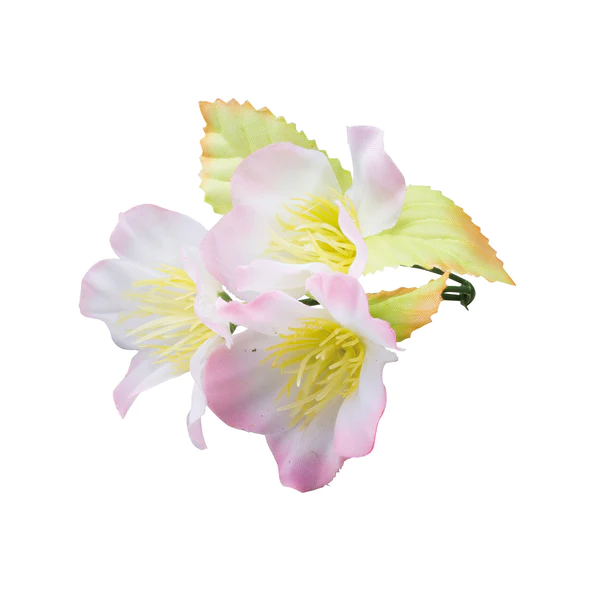 102-293-10 / (64251) 사계절의 꽃 참깨 벚꽃 (100 개입) / 요리꽃